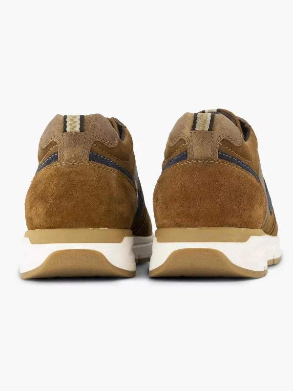 Heren Gallus Bruine Suede Sneaker