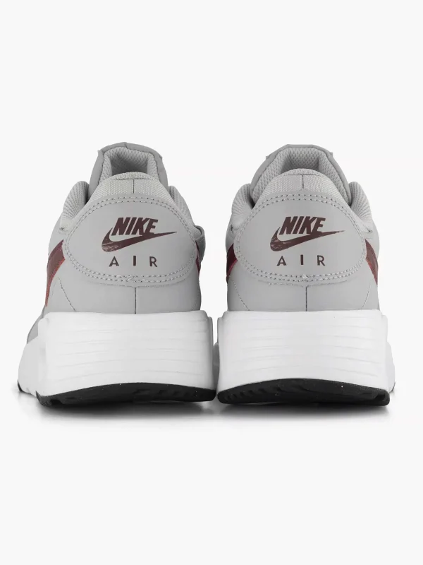 Heren Nike Grijze Air Max Sc