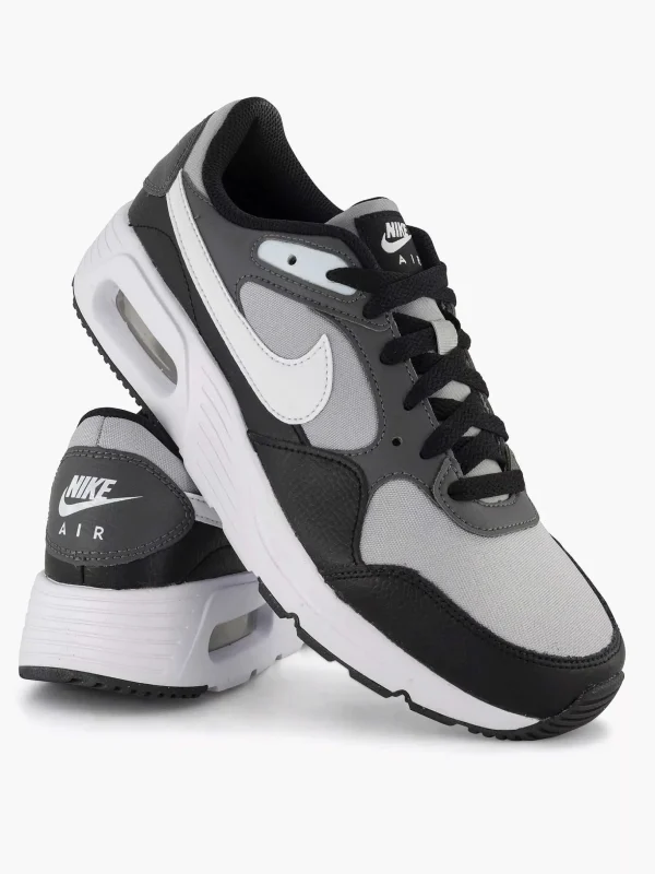 Heren Nike Grijze Air Max Sc