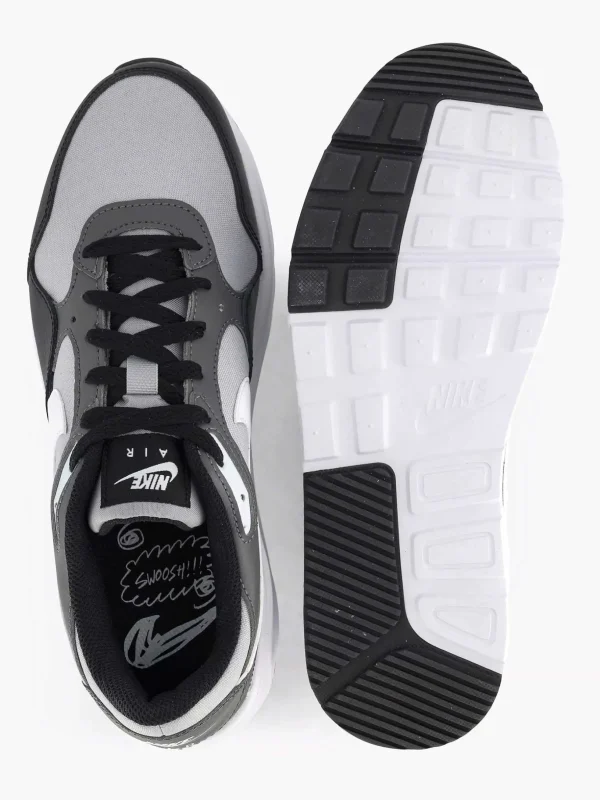 Heren Nike Grijze Air Max Sc