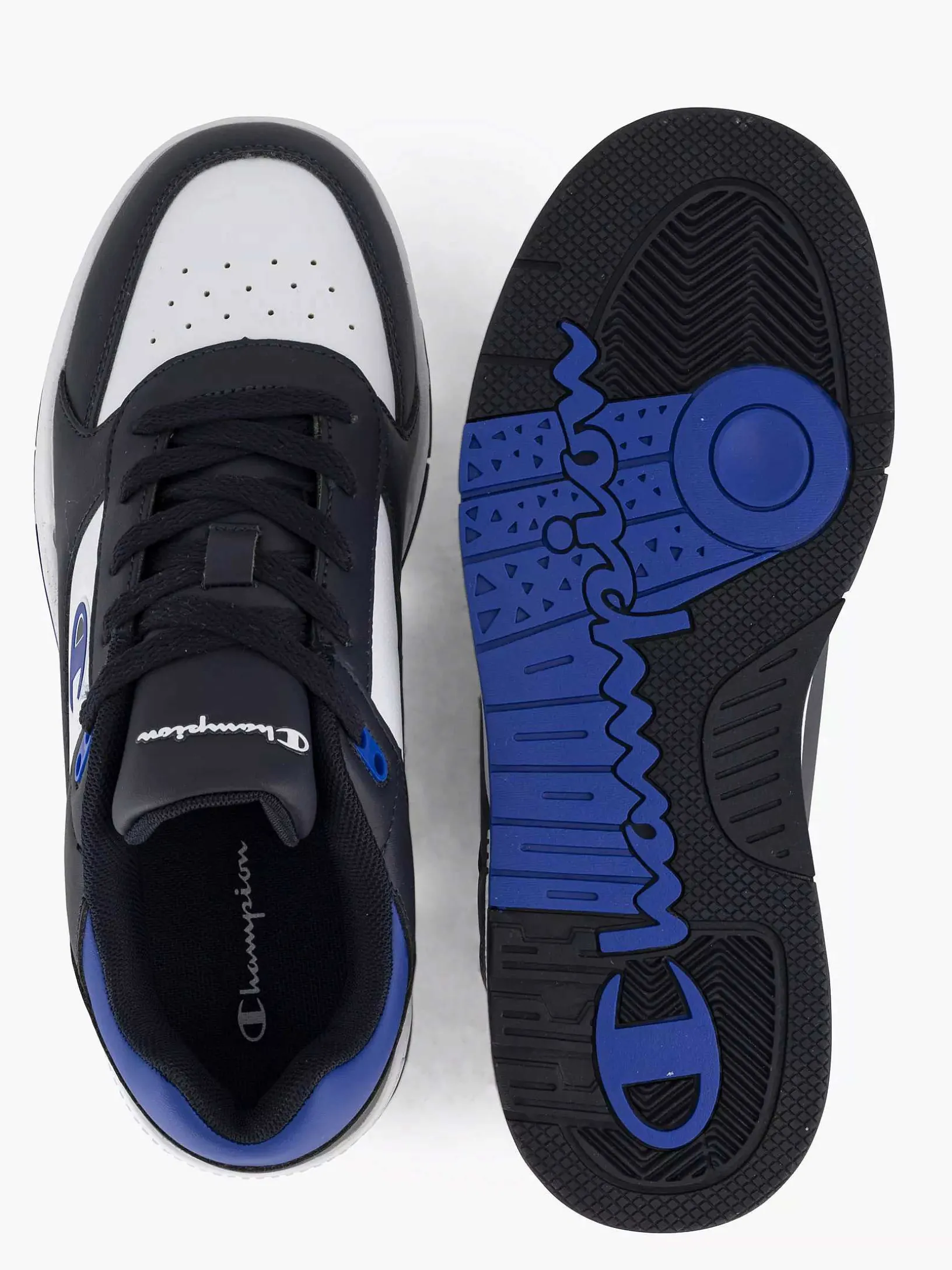 zwarte_rebound_heritage_b_0.webp Kinderen Champion Zwarte Rebound Heritage B